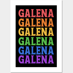 GALENA HISTORICAL CITY Posters and Art